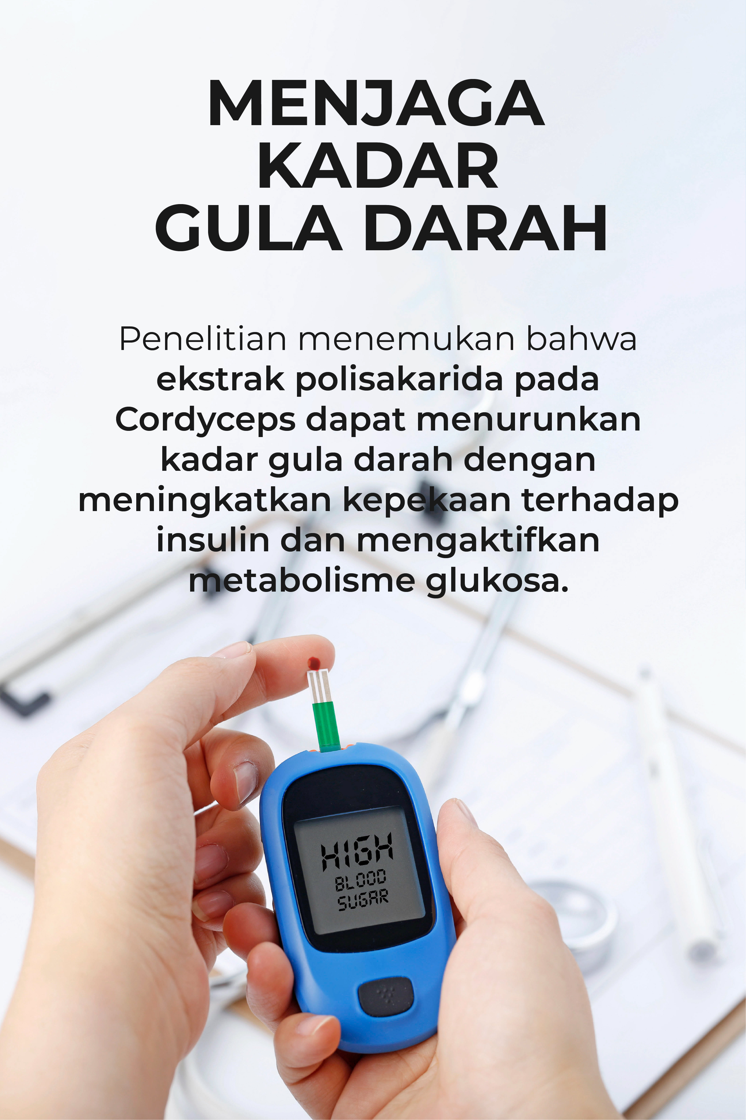 cordyceps terbaik