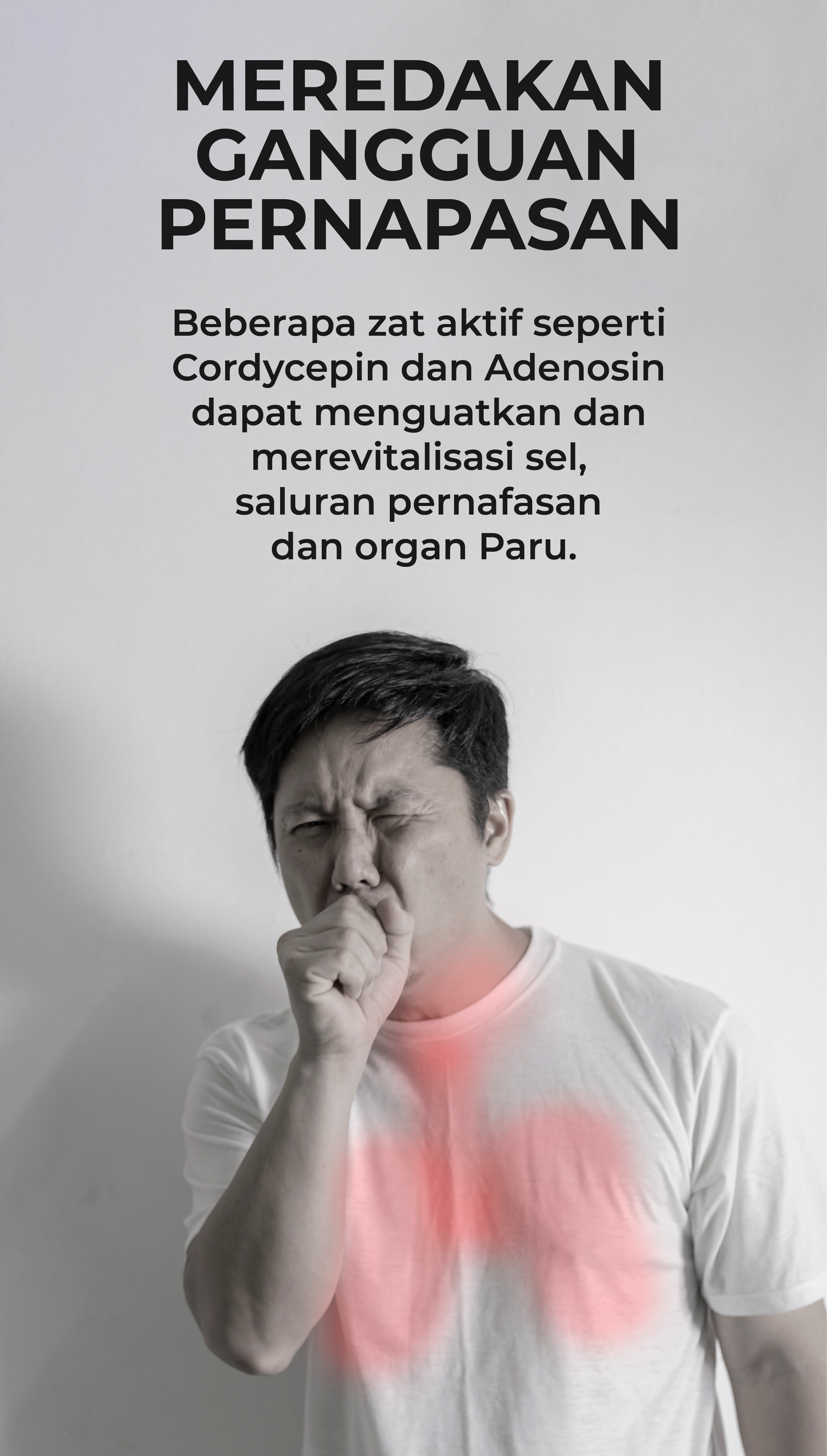 cordyceps terbaik