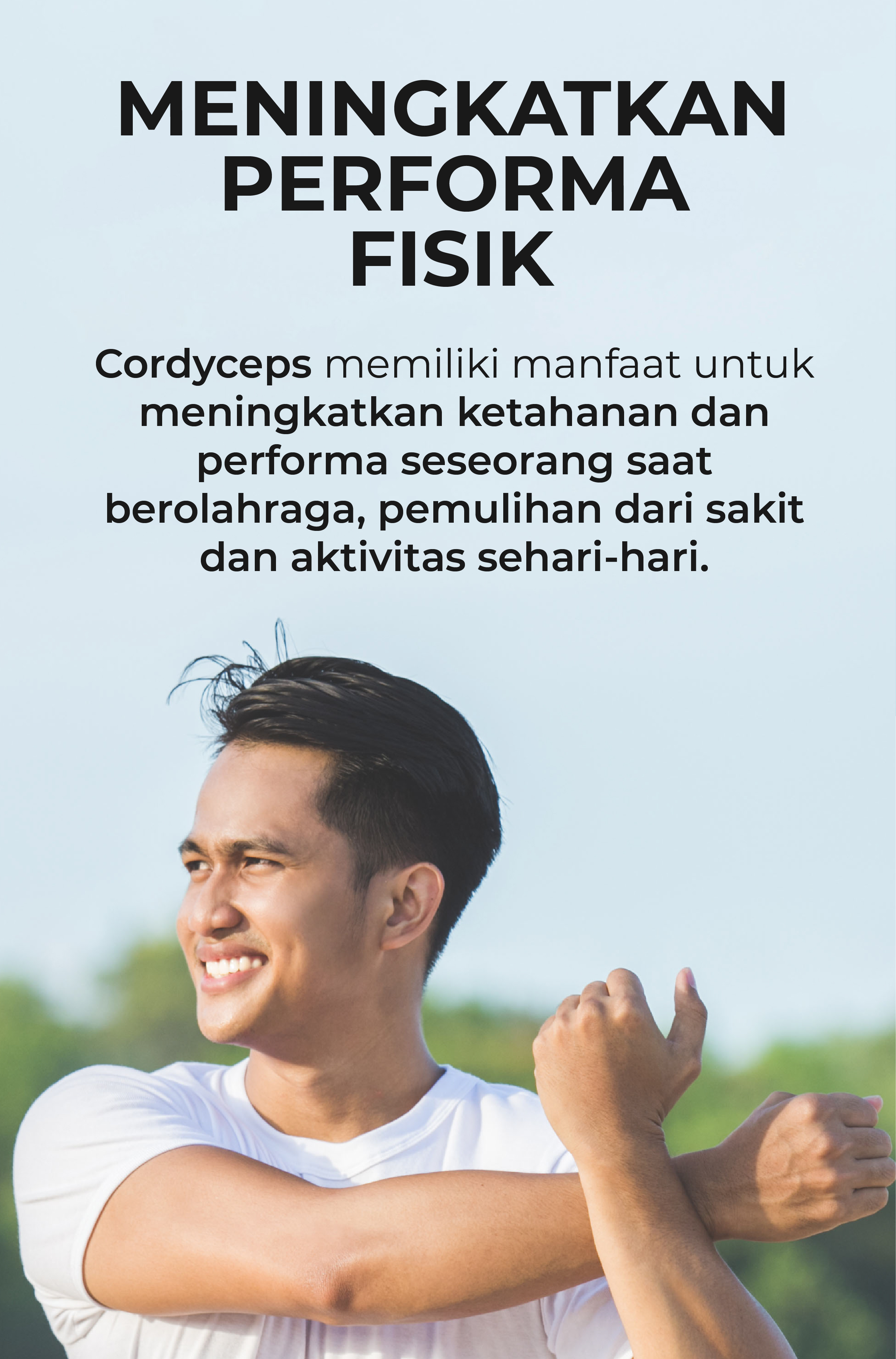 cordyceps terbaik