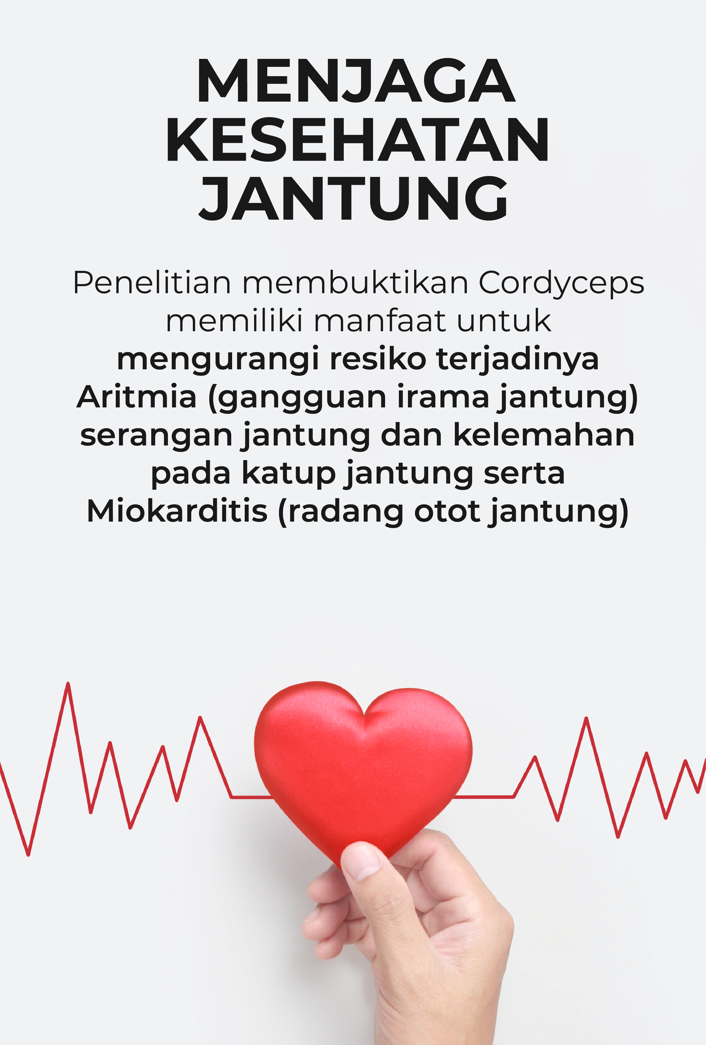 cordyceps terbaik
