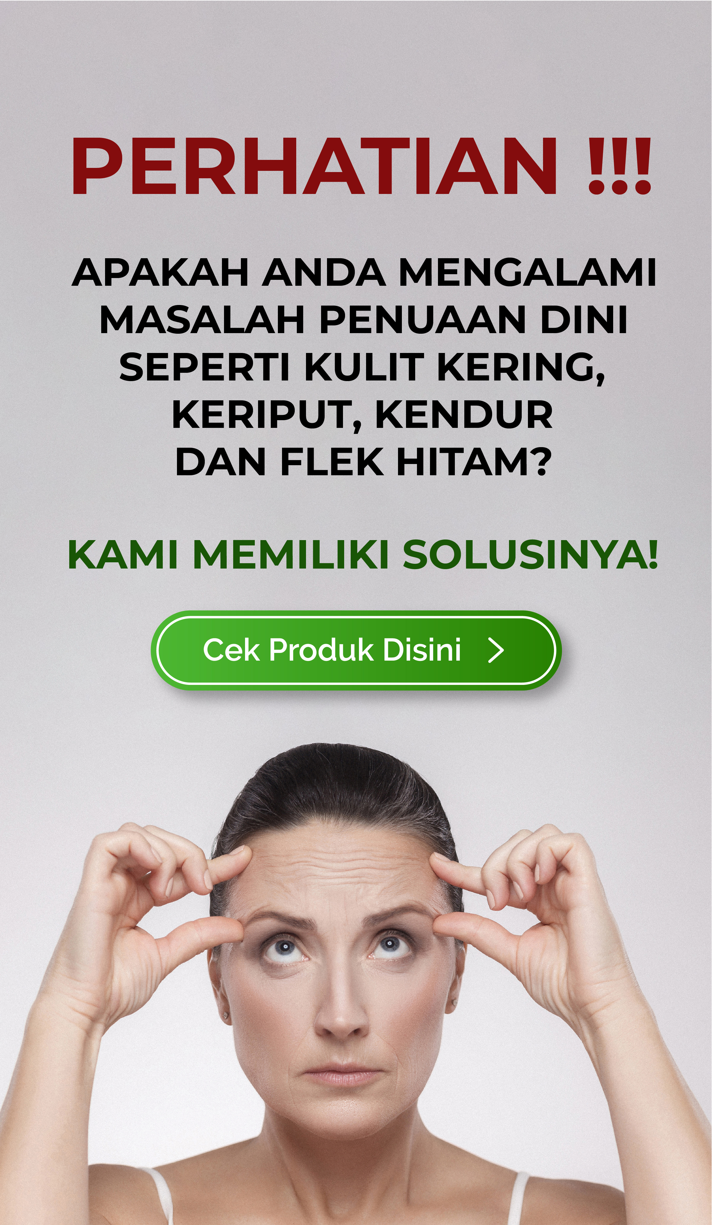 cordyceps terbaik