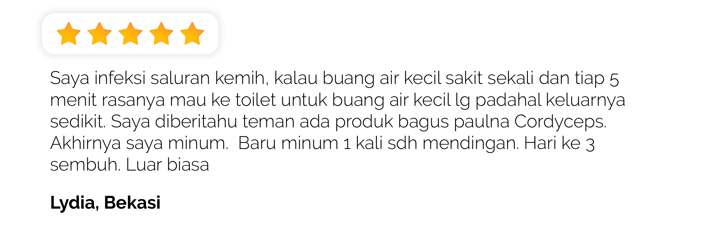 Cordyceps terbaik